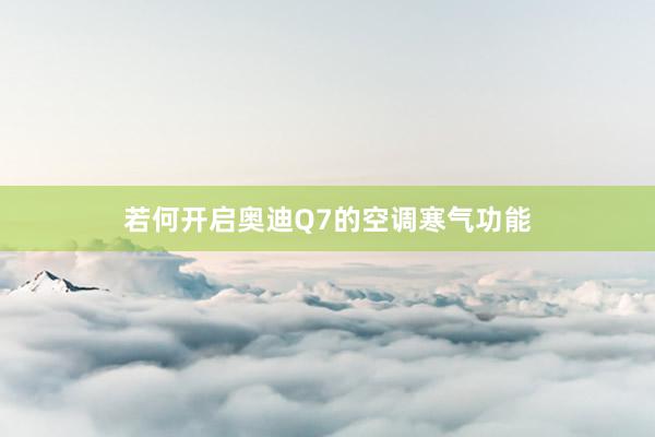 若何开启奥迪Q7的空调寒气功能